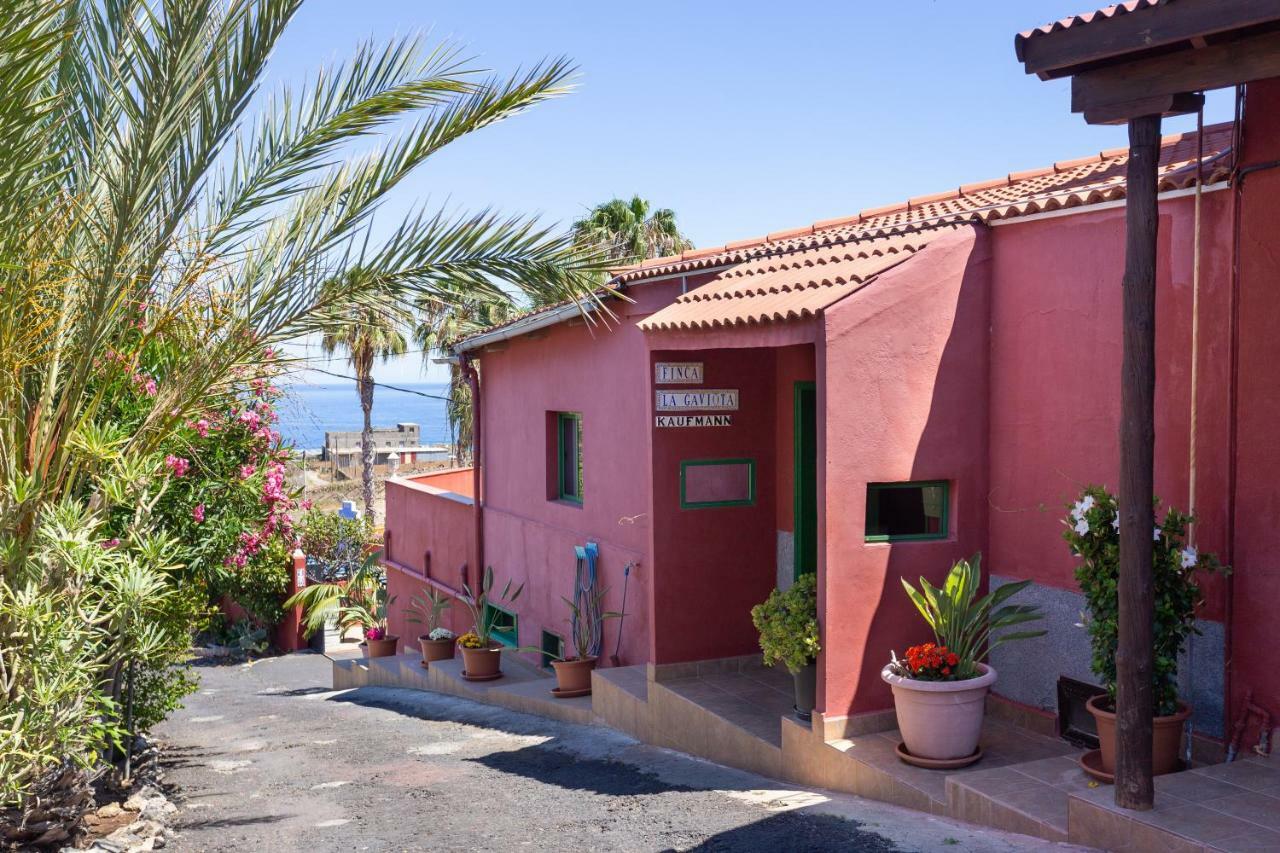 Finca La Gaviota - Las Palmeras Icod De Los Vinos Dış mekan fotoğraf